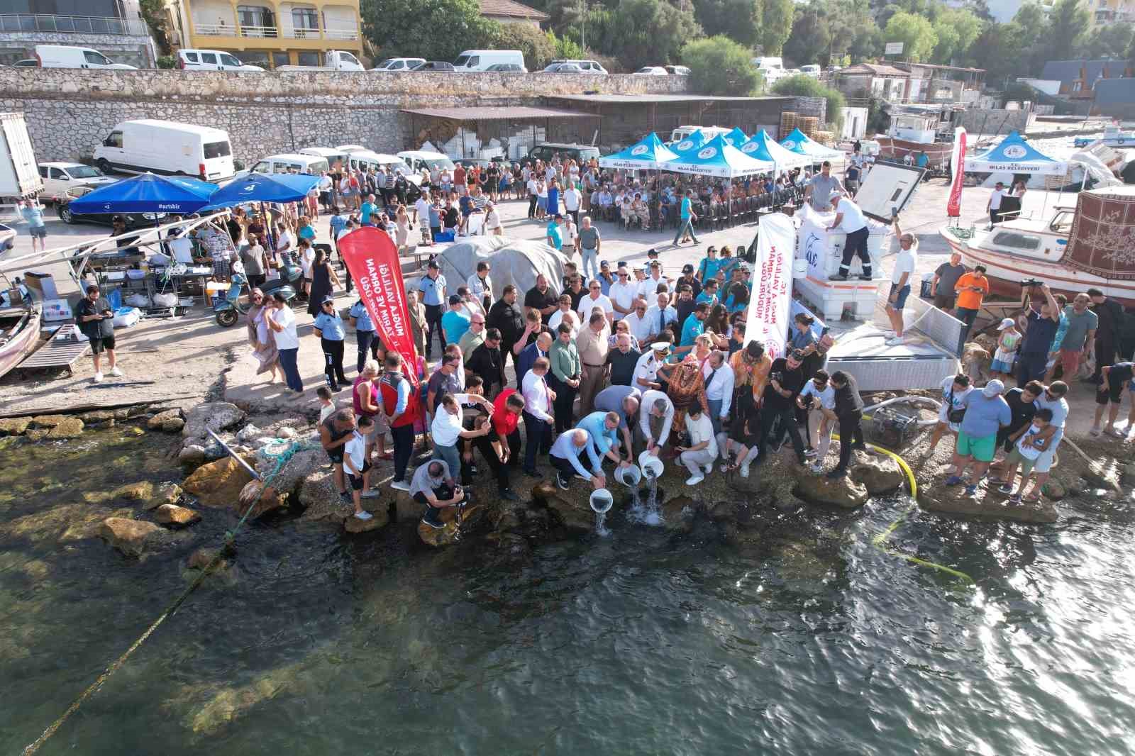 Muğla’da su ürünleri av sezonu açıldı 
