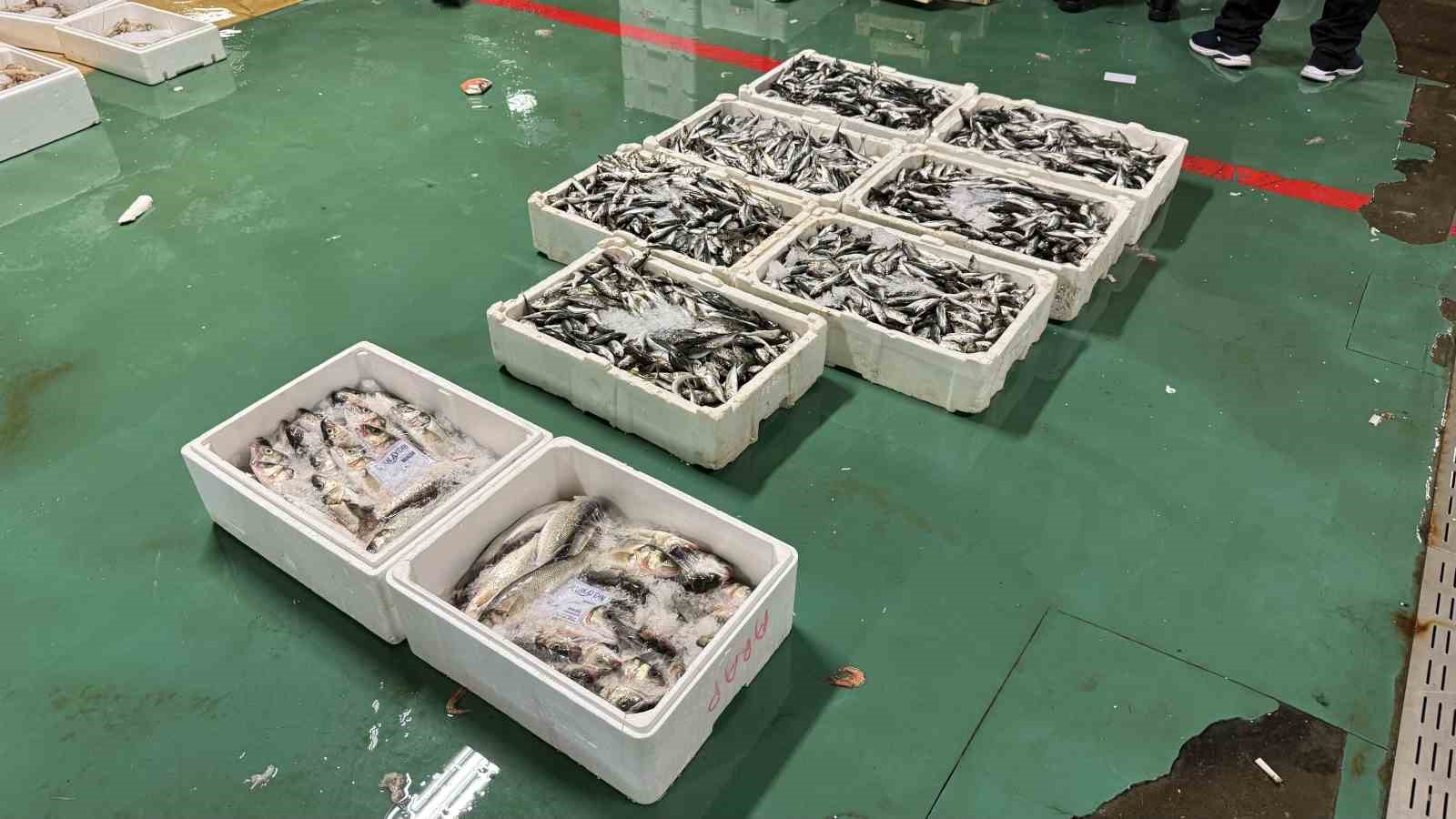 Av yasağının bitmesiyle İstanbul’da balıkçılık sezonu resmen başladı 