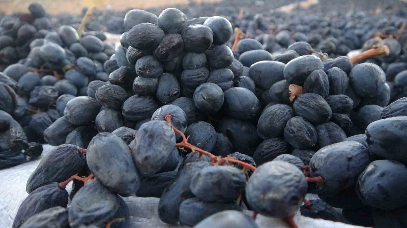 Malatya’da kilosu 500 TL’den alıcı bulan kuru üzüm yüz güldürüyor 