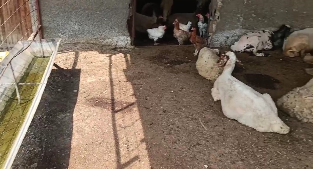Üç aydır evlerine içme suyu hattı çekilmesini bekleyen köylülerin 5 gündür de suyu kesik 