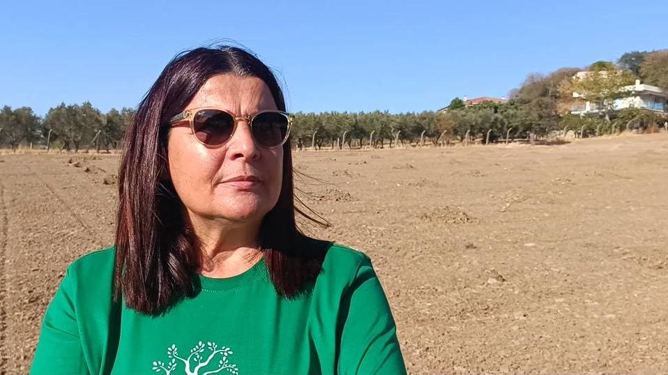 Foça Belediye Başkanı Fıçı: 