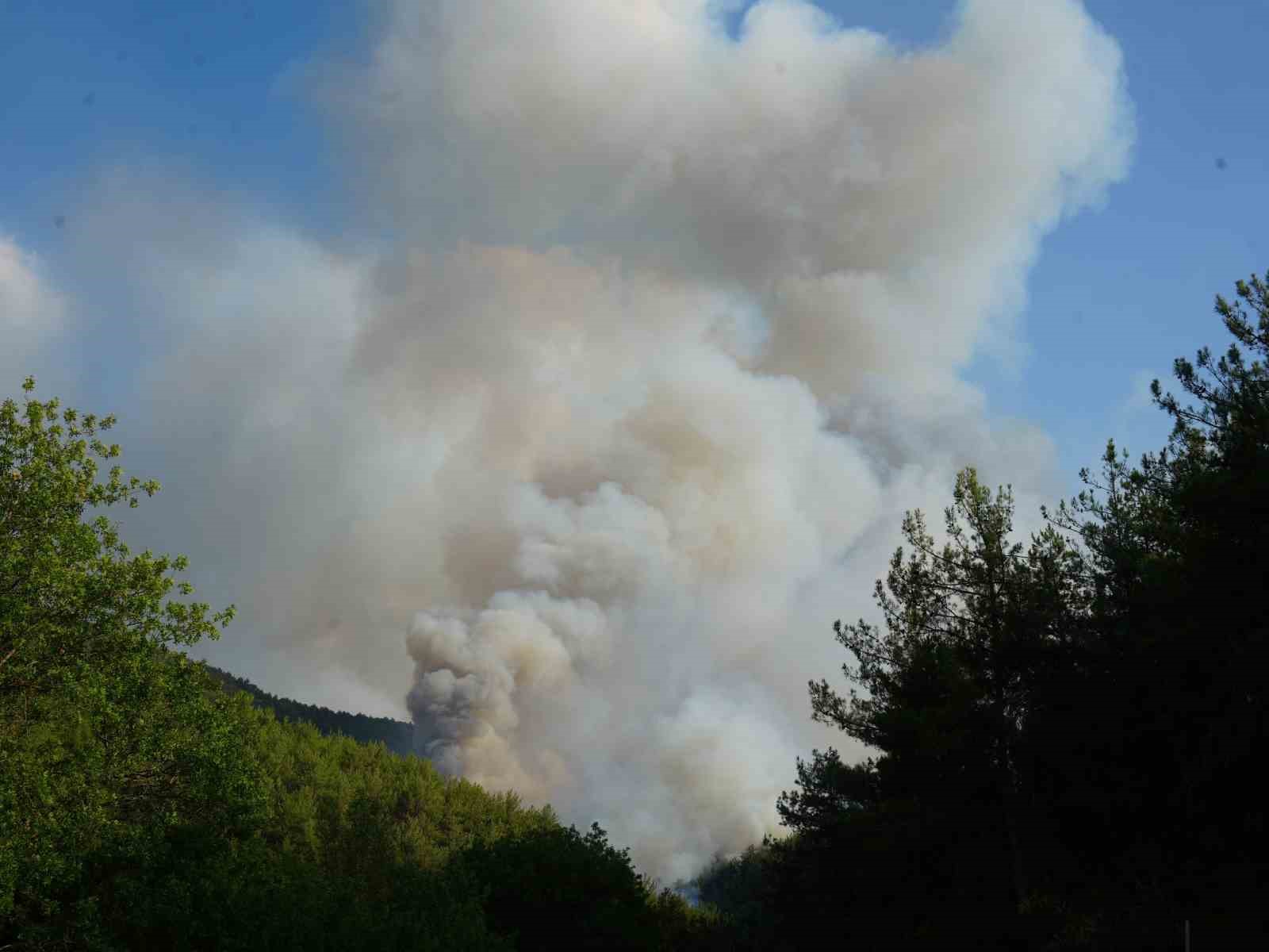 Elinde hortumla otları ıslatarak evini yangından korumaya çalıştı 