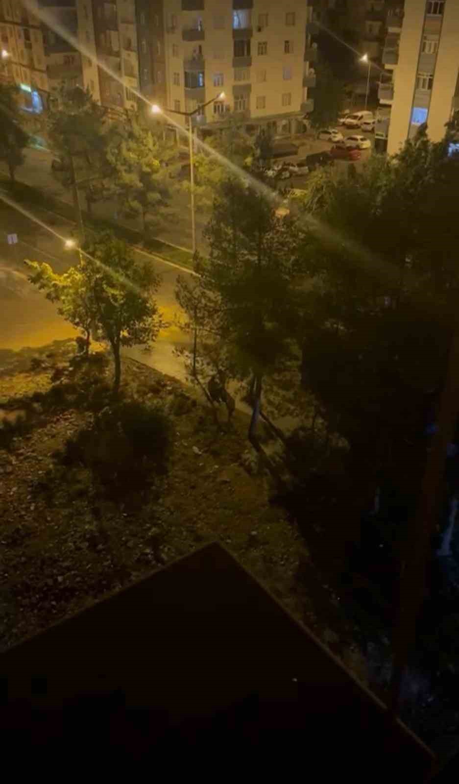 Diyarbakır’da husumetlilerin kavgasında kan aktı, olayla ilgisi olmayan bir kişi hayatını kaybetti 