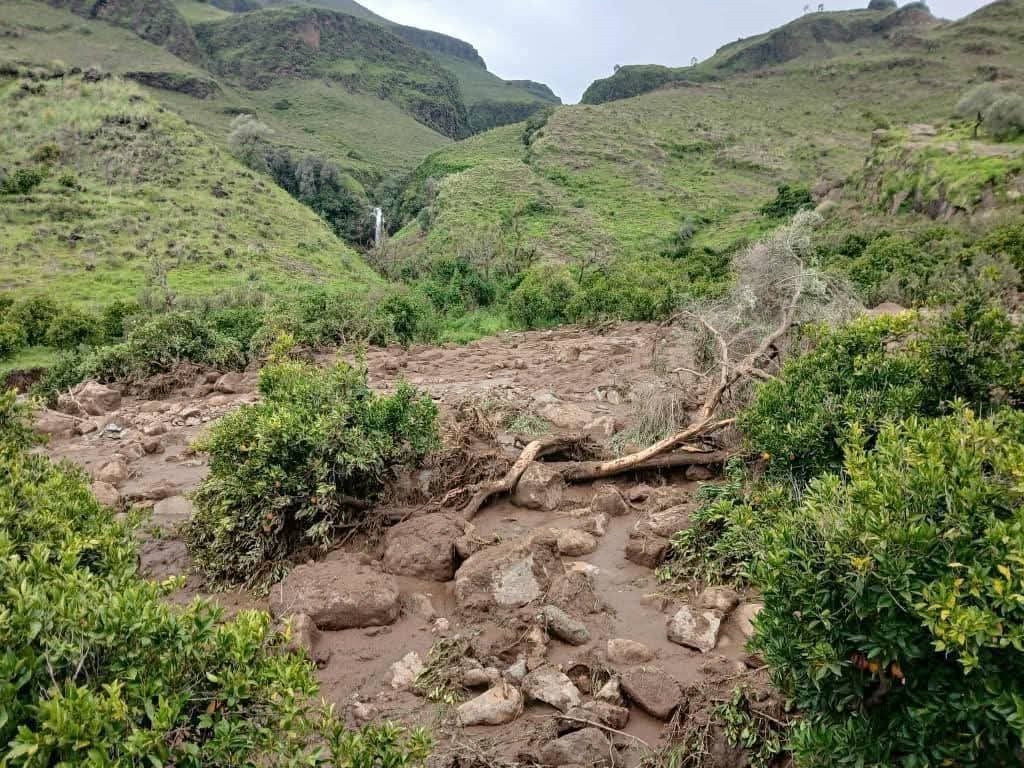 Sudan’da heyelan bir köyü yuttu: Binden fazla kişi öldü 