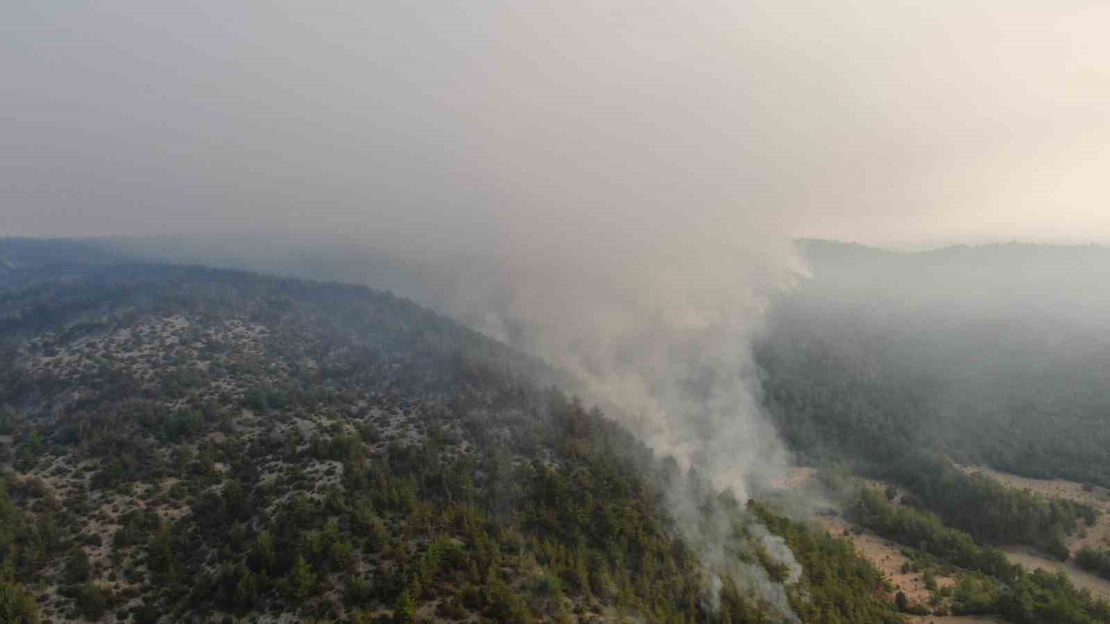 Kastamonu’daki orman yangınına müdahale böyle görüntülendi 