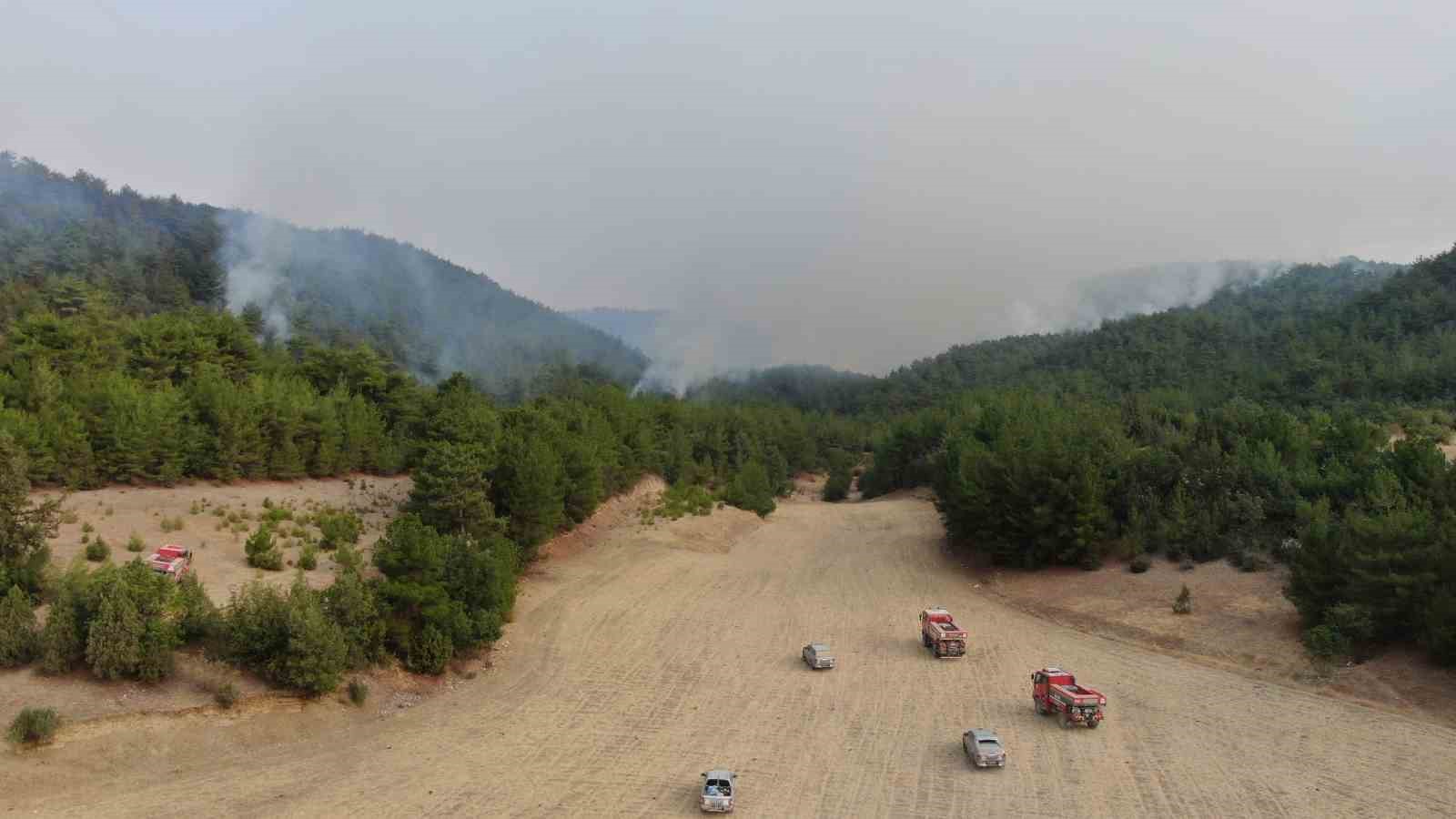 Kastamonu’daki orman yangınına müdahale böyle görüntülendi 