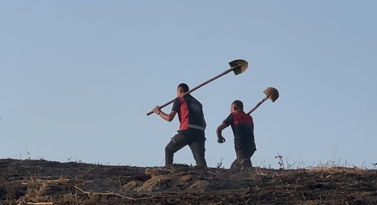 Yüksekova’da anız yangını çevredeki evlere kadar yaklaştı: Ekiplerin müdahalesi sürüyor 