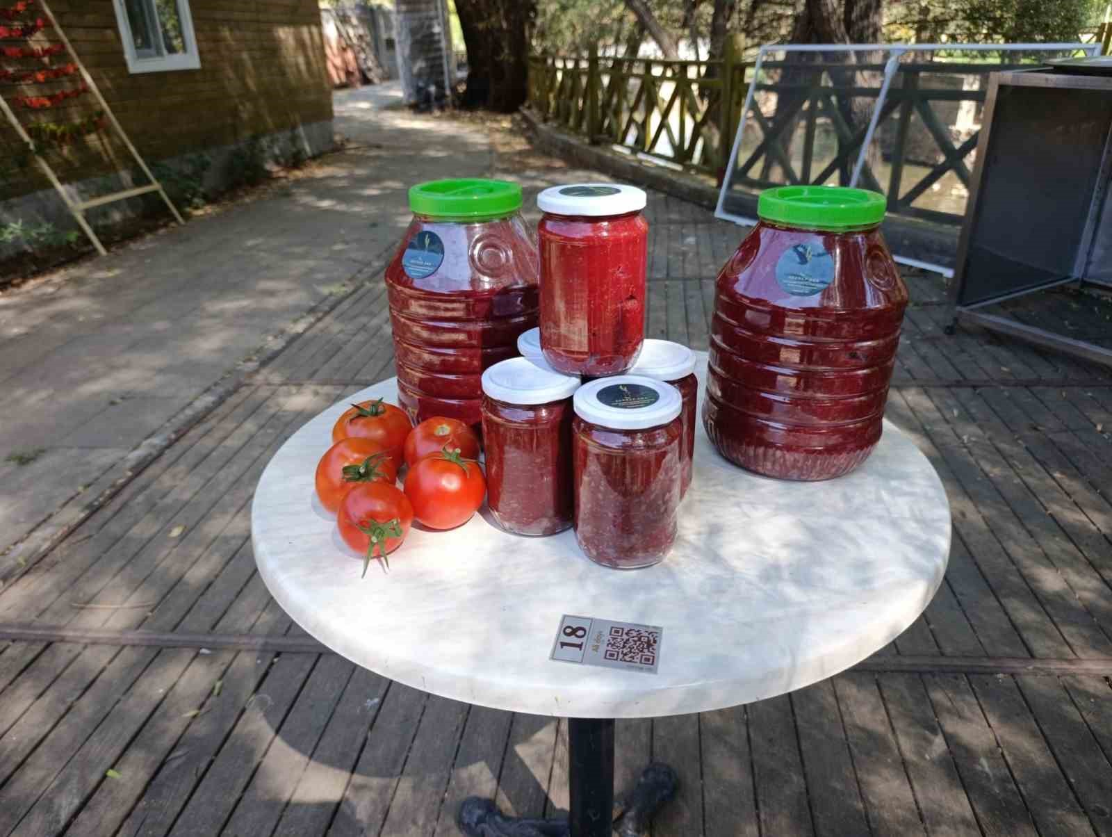 Malatya’da Kadın Kooperatifinden organik domates hasadı 