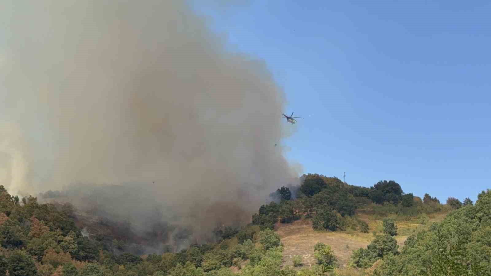 Düzce’deki orman yangınına helikopter ve 20 araçla müdahale sürüyor 