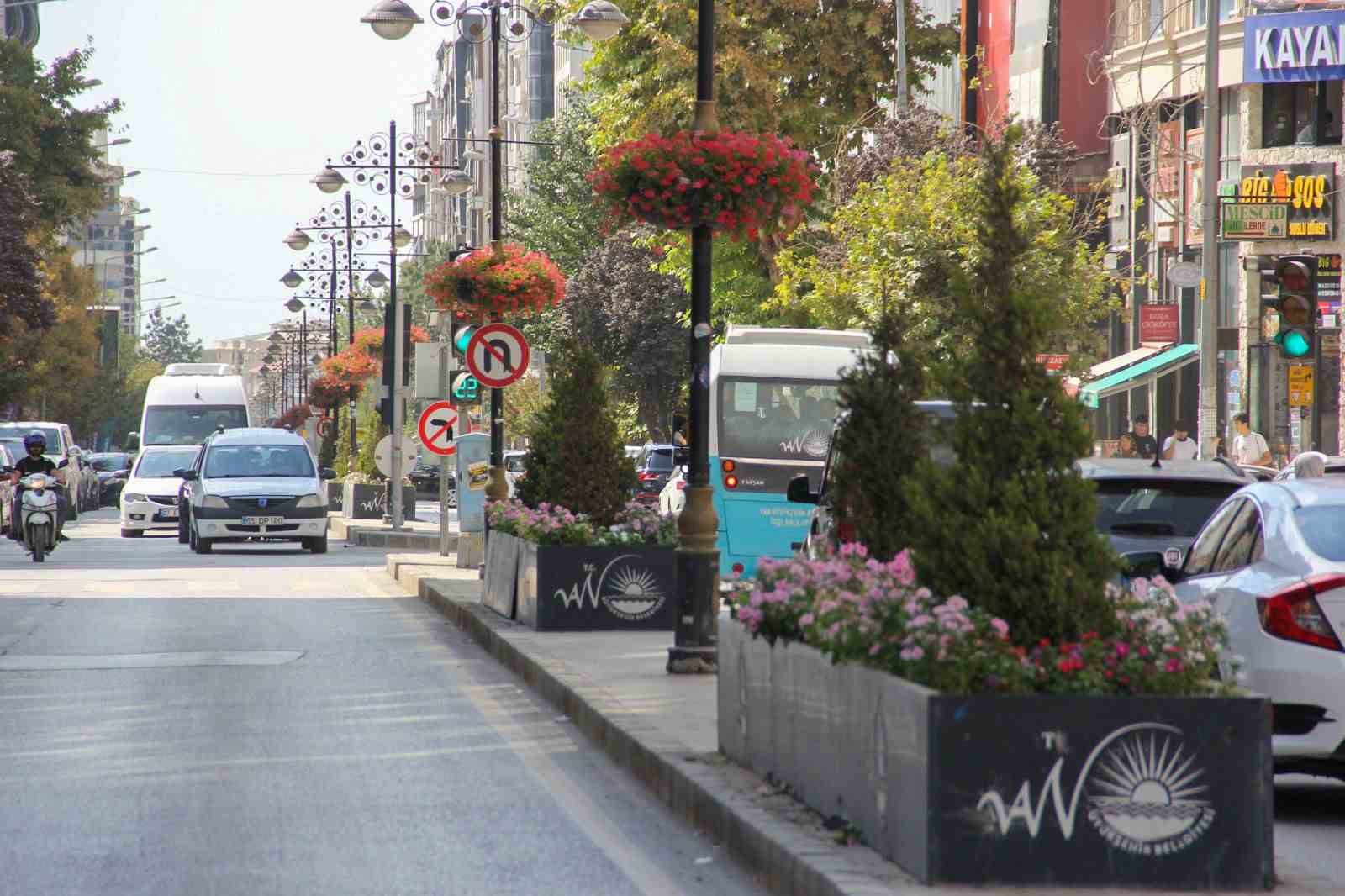 Van Büyükşehir Belediyesi şehri sardunyalarla süslüyor 