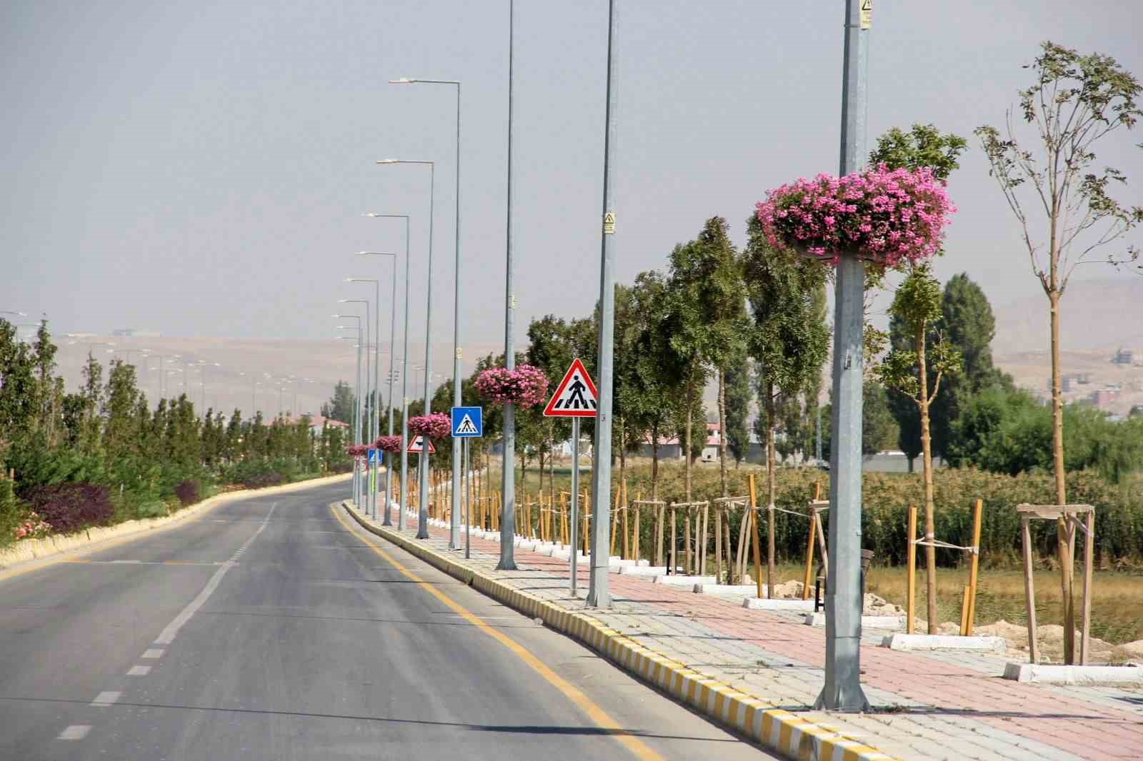 Van Büyükşehir Belediyesi şehri sardunyalarla süslüyor 