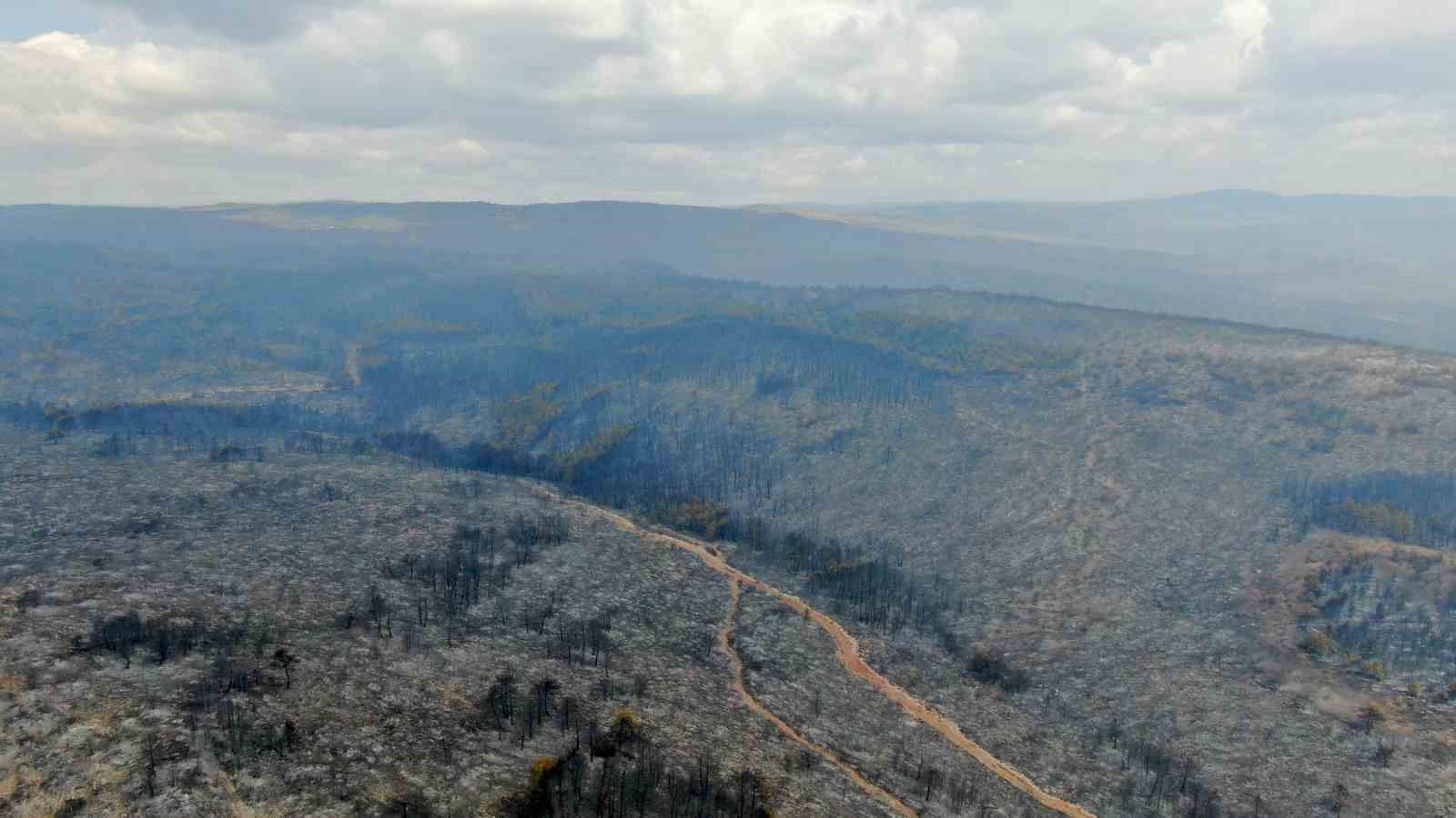 Kastamonu’daki orman yangınlarında 2 bin 736 hektar alan zarar gördü 
