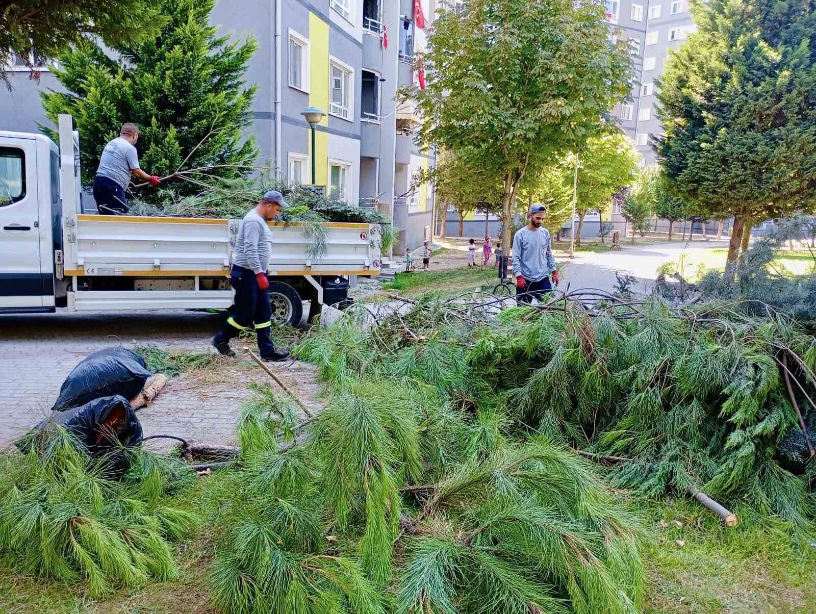 Körfez’de park ve bahçelere bakım işlemi 