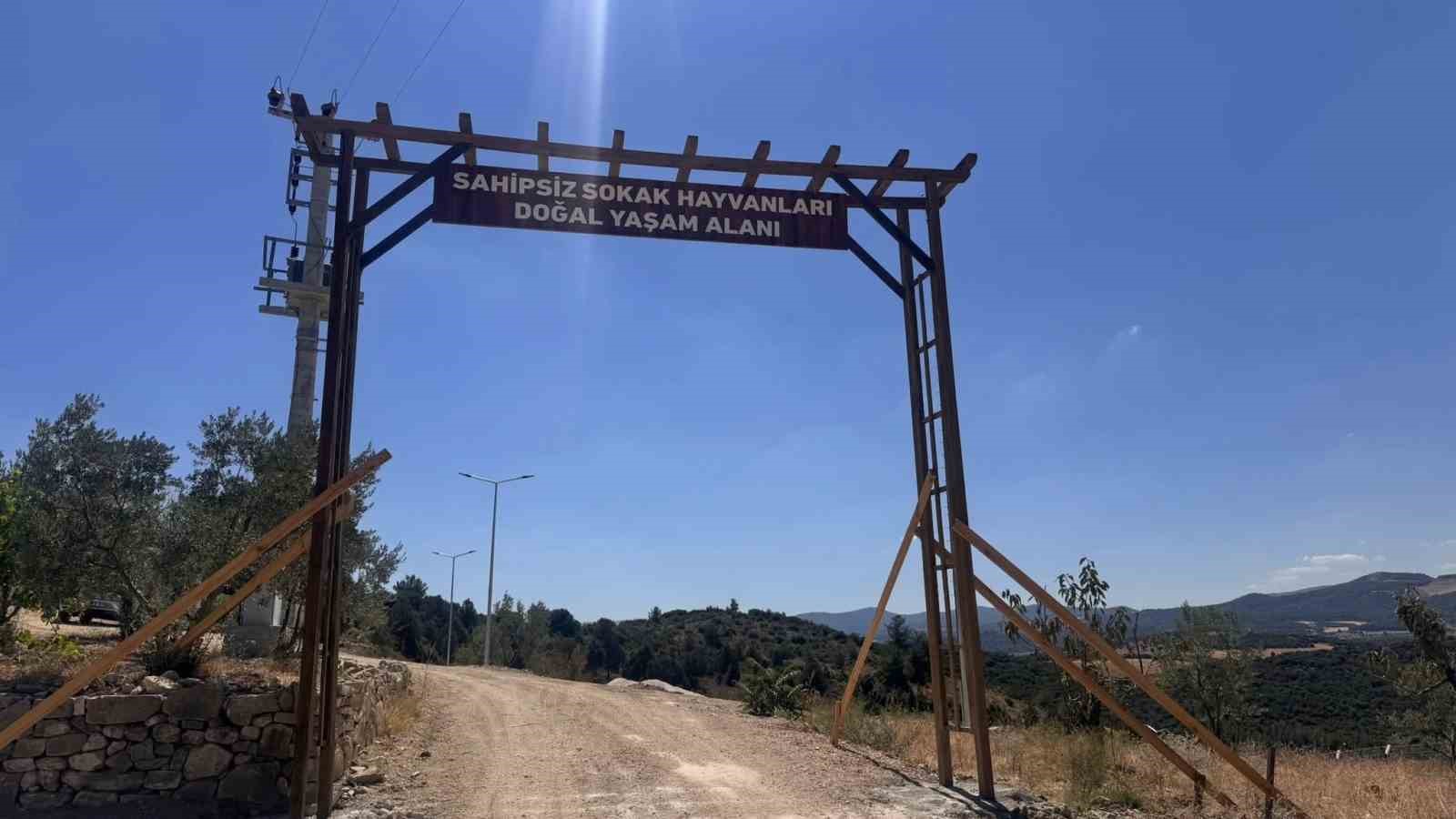 Sokak Hayvanları Doğal Yaşam Alanı’nı ruhsatsız çıktı 