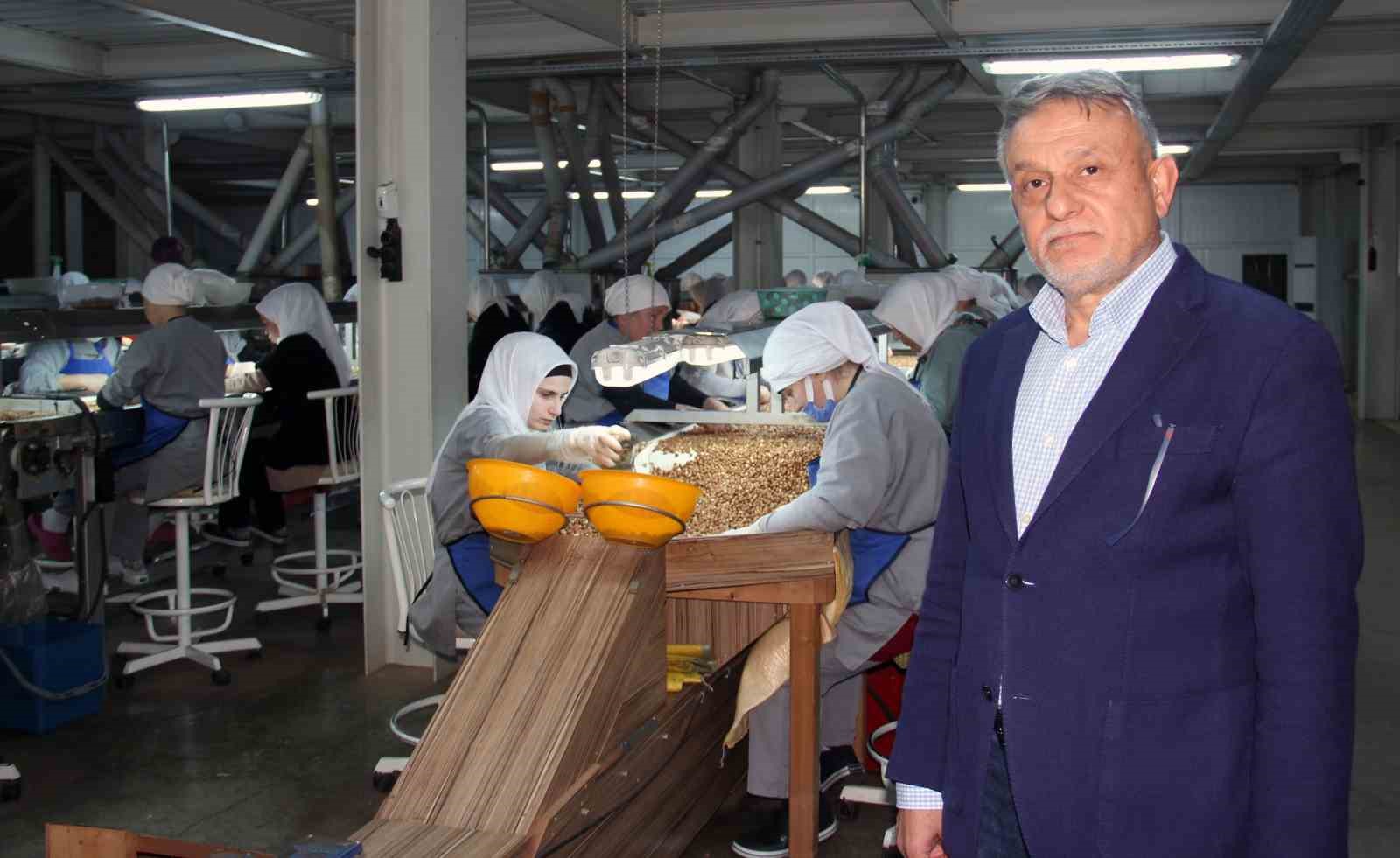 Giresun’da fındık fiyatını randıman belirliyor 