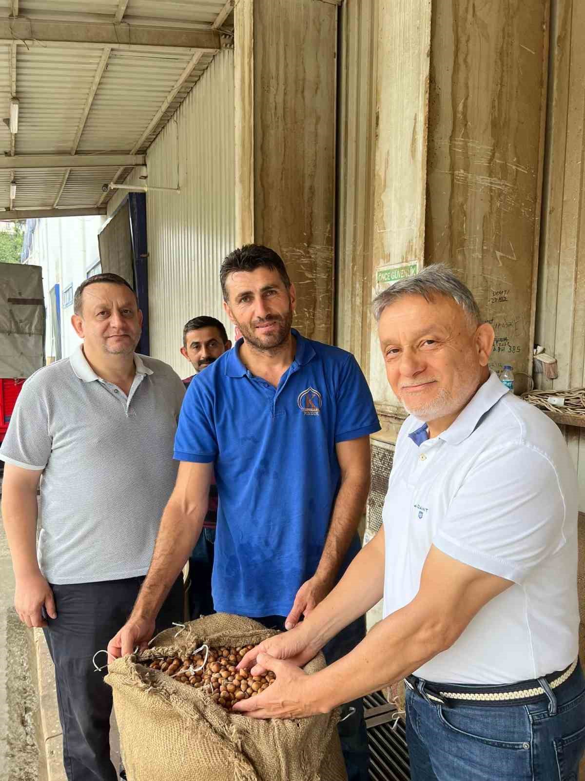 Giresun’da fındık fiyatını randıman belirliyor 