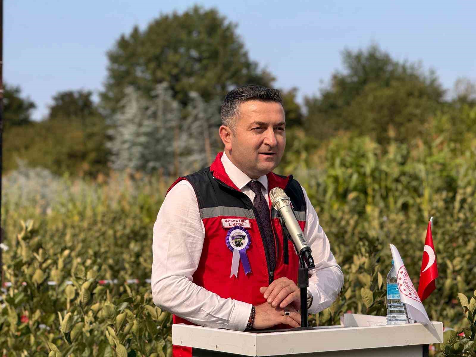 Yalova’nın coğrafi işaretli meyvesi aronyada hasat sevinci
