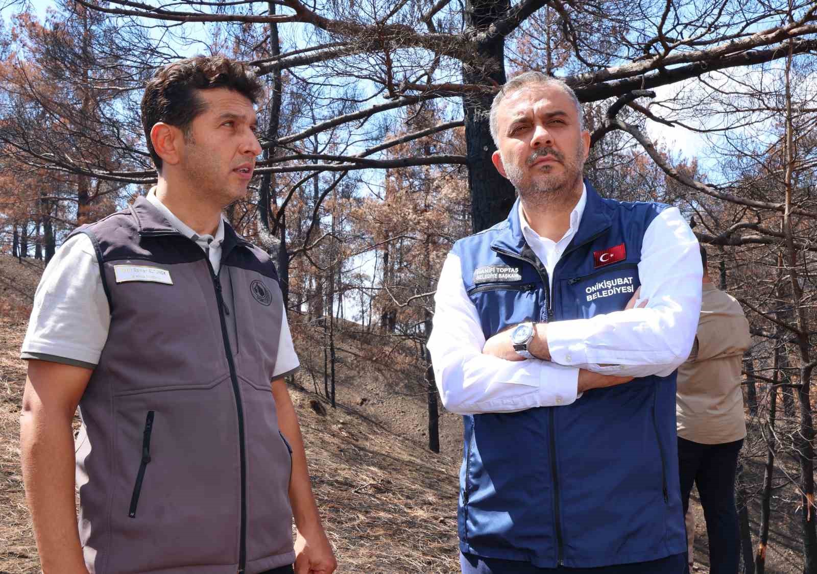 Kahramanmaraş’ta yanan ormanlık alanlar fidanlarla buluşturulacak