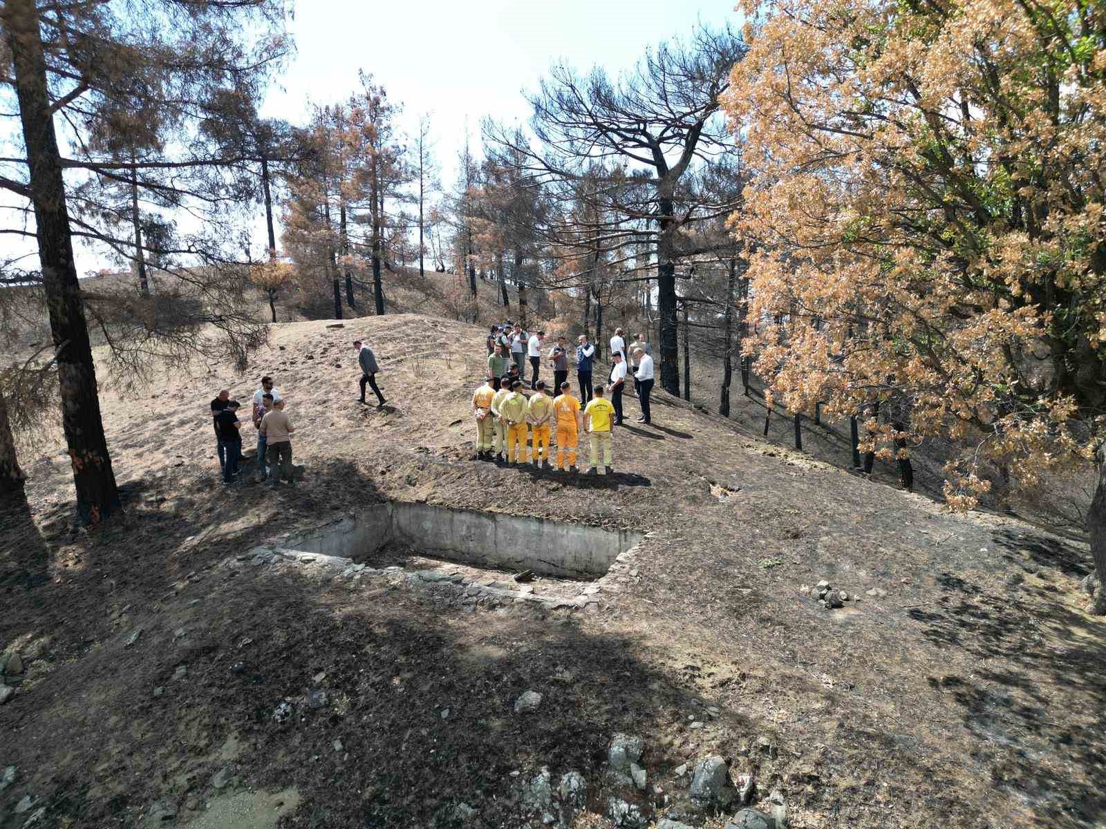 Kahramanmaraş’ta yanan ormanlık alanlar fidanlarla buluşturulacak 