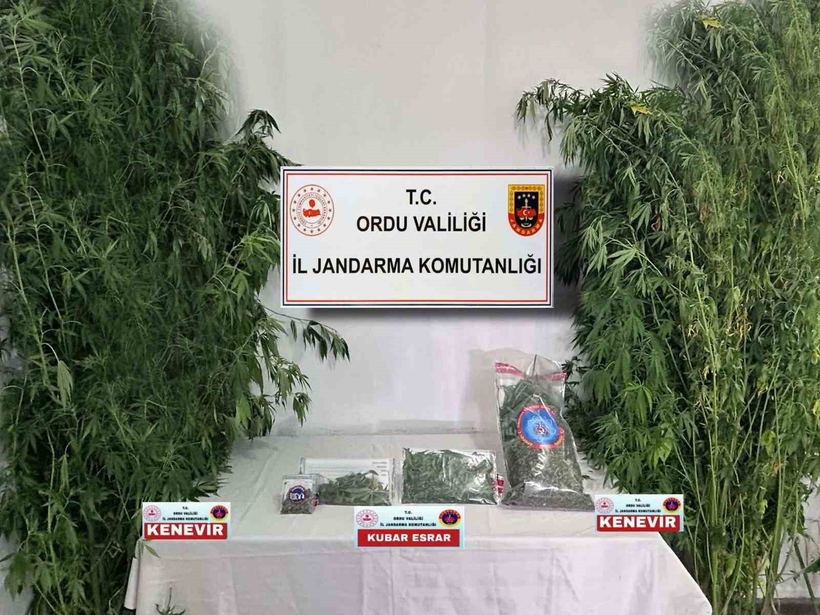 Ordu’da 8 ayda 45 kilo uyuşturucu madde ele geçirildi 