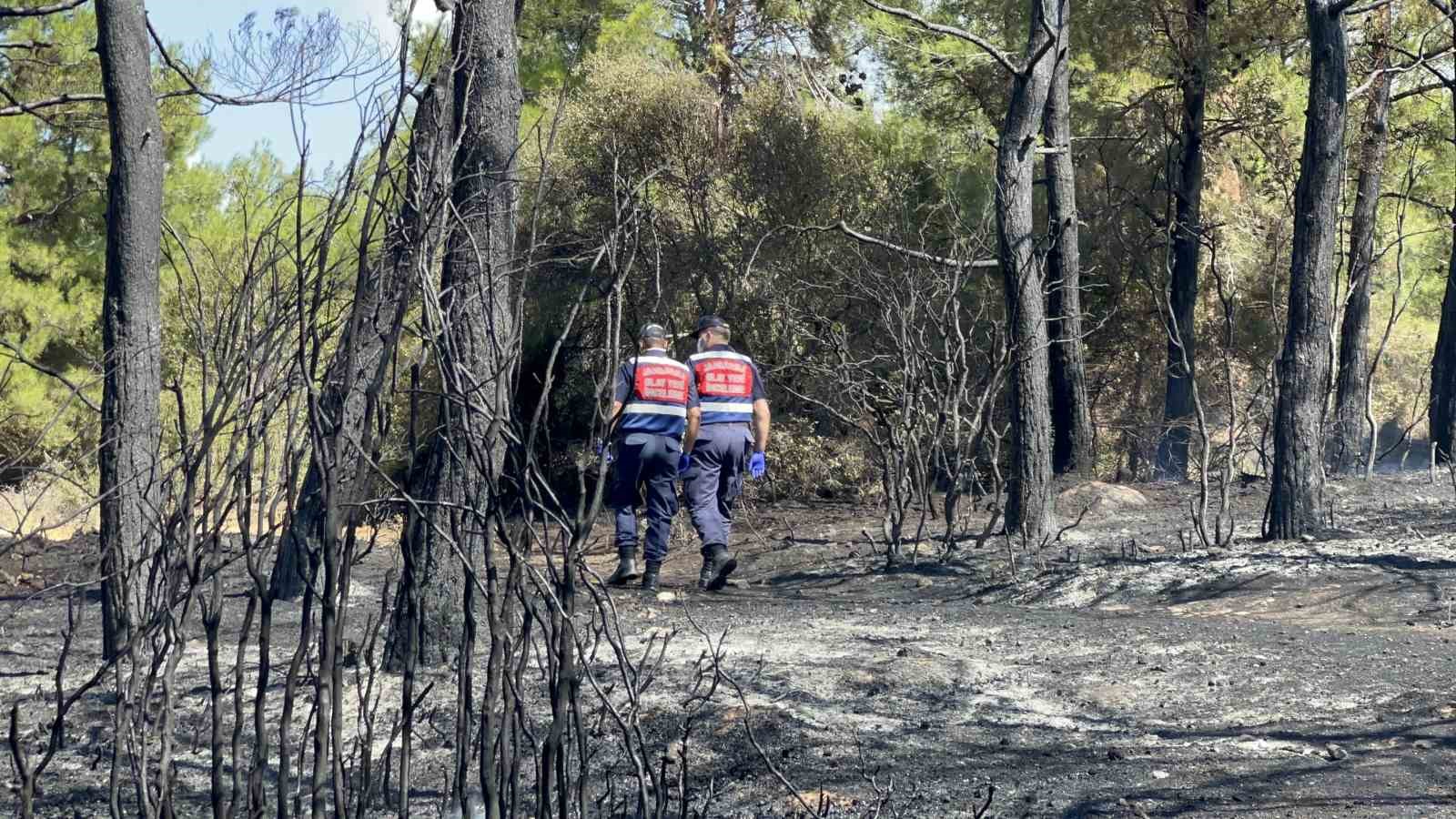 Çanakkale’de çıkan orman yangını kontrol altına alındı, okullar ve pansiyonlar ucuz kurtuldu 