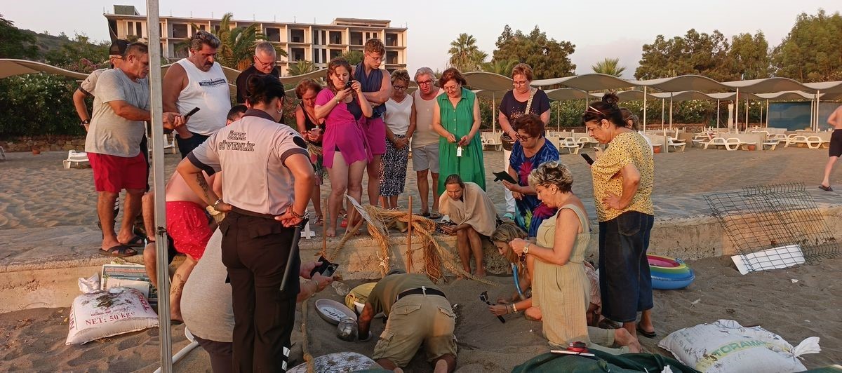 Caretta carettalar denizle buluştu 