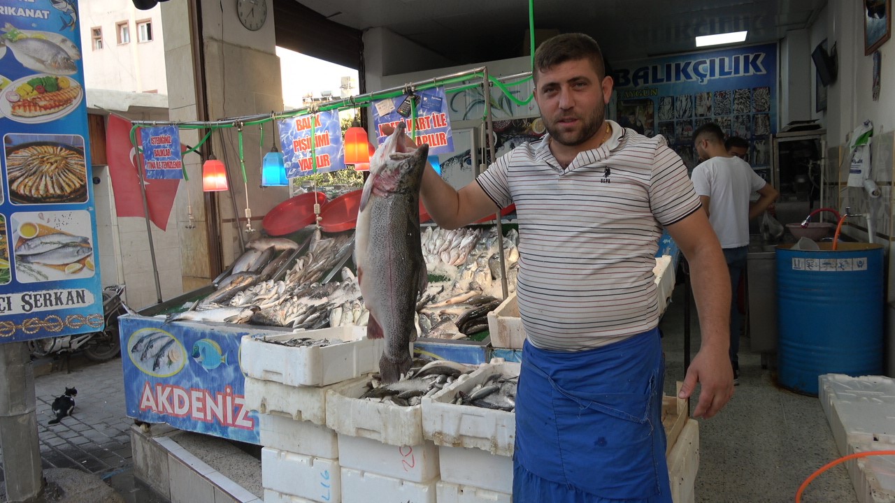 Balık sezonu açıldı, halk et ve tavuktan balığa yöneldi 