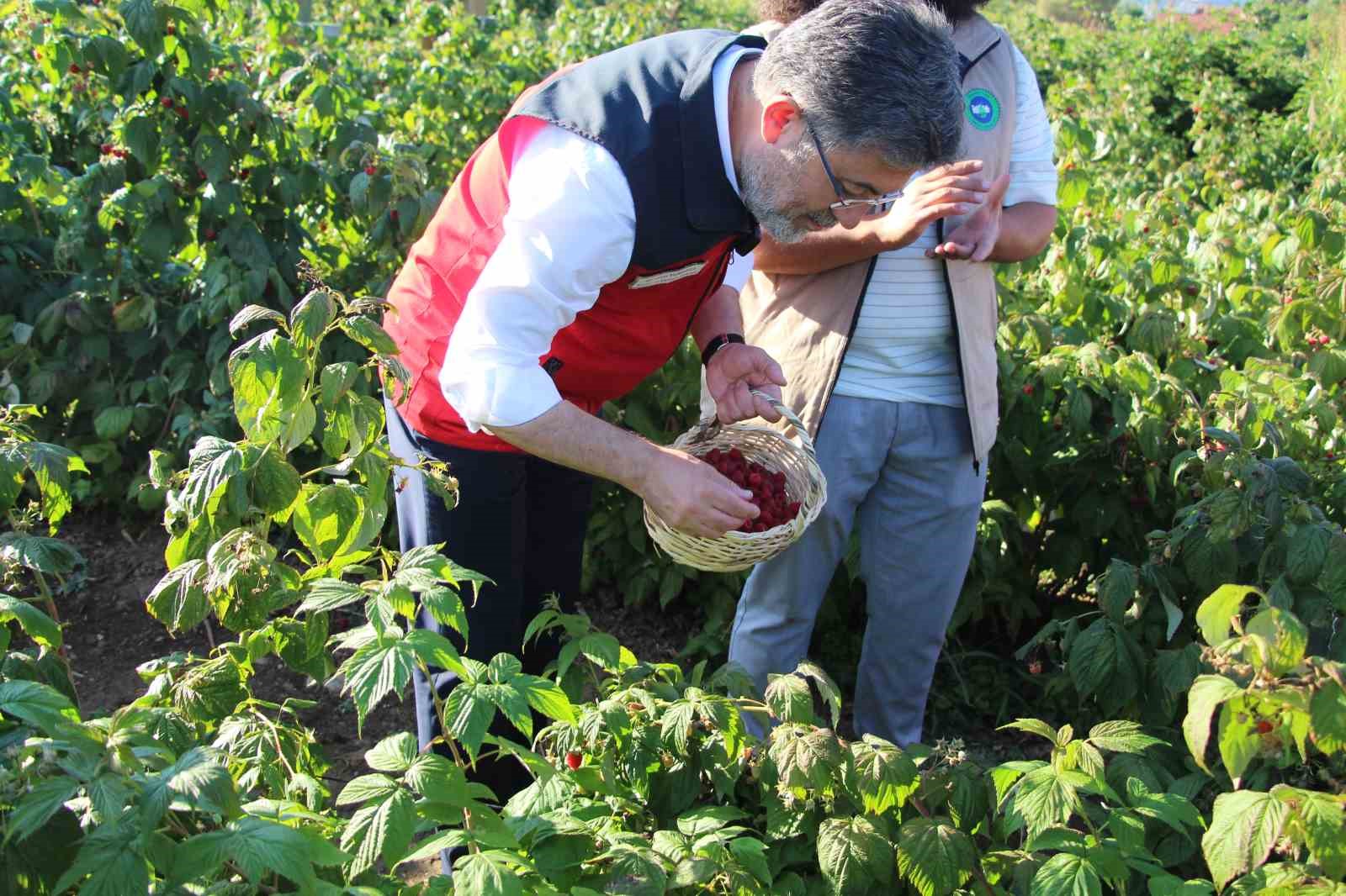 Bakan İbrahim Yumaklı: 