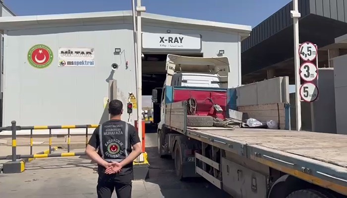 Makak maymunu ve şahinler kaçakçıların pençesinden kurtarıldı 
