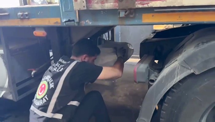 Makak maymunu ve şahinler kaçakçıların pençesinden kurtarıldı 