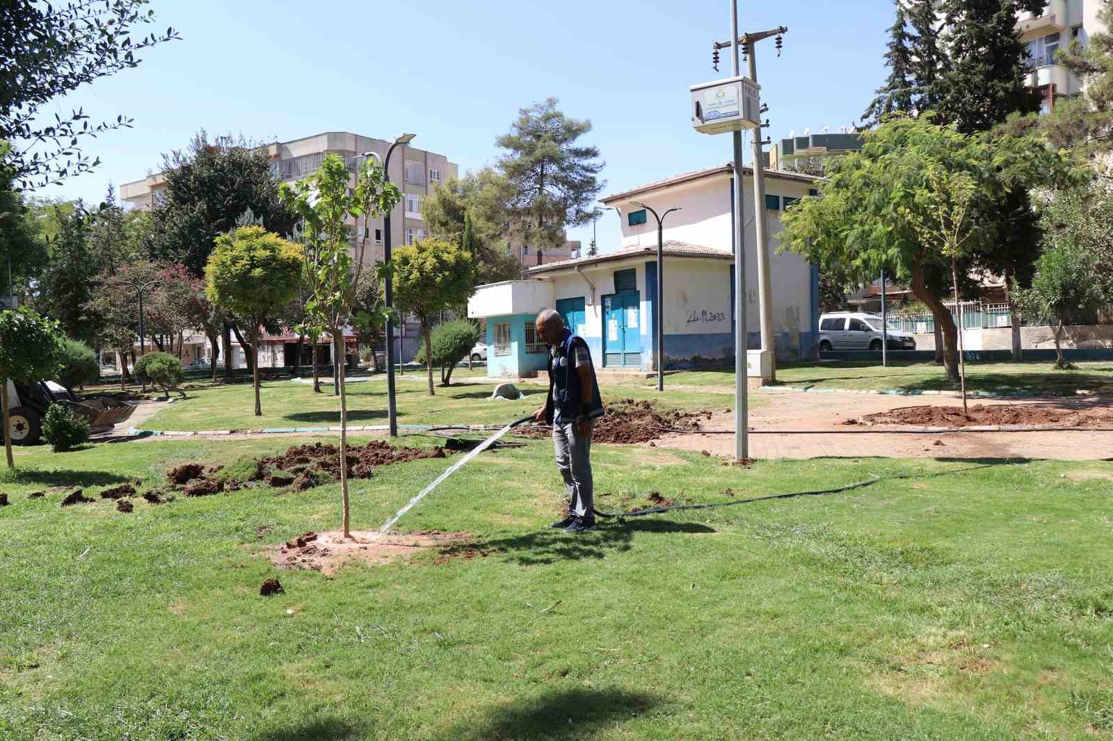 Haliliye’de ağaçlandırma seferberliği devam ediyor 
