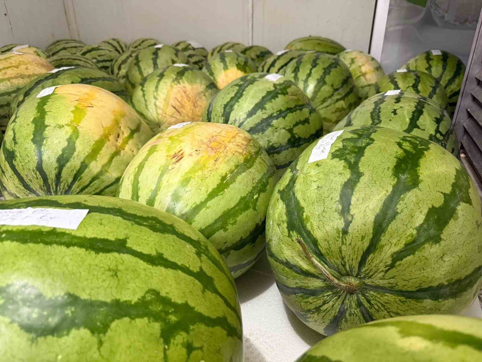 Diyarbakır’da karpuz yarışmasına sayılı günler kaldı 